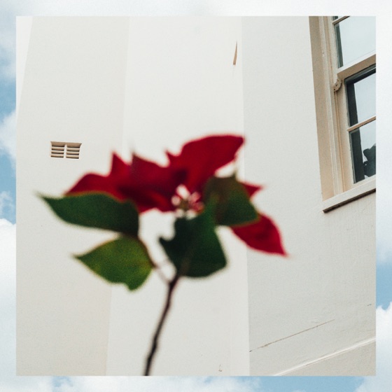 Cover artwork for Raw Stuff