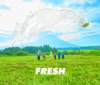 FRESH - EP by Lucky Kilimanjaro