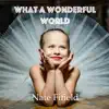 What a Wonderful World - Single album lyrics, reviews, download