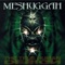 Sane (Demo Version) - Meshuggah lyrics
