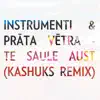 Stream & download Te Saule aust (Remix) - Single