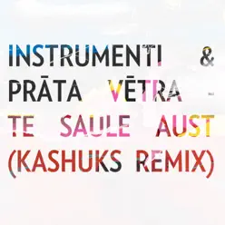 Te Saule aust (Remix) - Single - Brainstorm Te Saule aust (Remix) - Single - Brainstorm