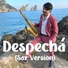 Despechá (Sax Version) - Single