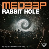 Rabbit Hole (Andy Murphy Remix) artwork