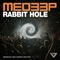 Rabbit Hole (Andy Murphy Remix) artwork