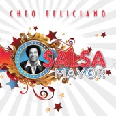La Salsa Mayor artwork