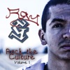 Rock the Culture, Vol. I