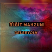 Gelseydim artwork