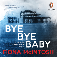 Fiona McIntosh - Bye Bye Baby artwork