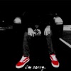 I'm Sorry - Single