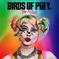 Verschiedene Interpreten - Birds of Prey: The Album artwork