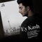 Ey Kash - Farzad Farzin lyrics