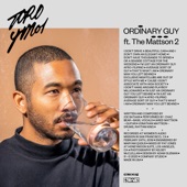 Toro y Moi - Ordinary Guy (feat. The Mattson 2)