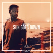 Sun Goes Down artwork