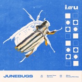 Junebugs - EP artwork