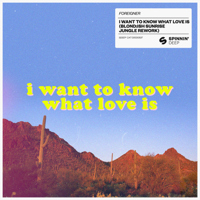 Foreigner - I Want To Know What Love Is (BLOND:ISH Sunrise Jungle Extended Rework) artwork