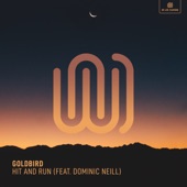 Hit and Run (feat. Dominic Neill) artwork