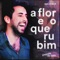 A Flor e o Querubim (Pagode do Tatit) - Daniel Tatit lyrics