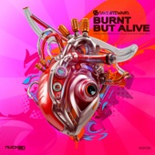 Burnt But Alive (Includes Miroslav Vrlik & Rysto Remixes) - EP artwork