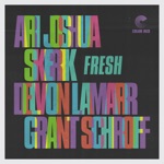 Ari Joshua & Skerik - Fresh (feat. Delvon Lamarr & Grant Schroff)