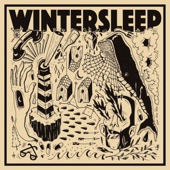 Wintersleep - Free Fall