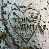 Teenage Bantam artwork