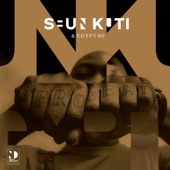 Seun Kuti & Egypt 80 (Night Dreamer Direct-To-Disc Sessions) artwork