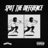 Spot the Difference - Single