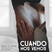 Cuando Nos Vemos (feat. Nicole Zc, Byflow) artwork
