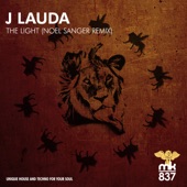 The Light (Noel Sanger Remix) artwork