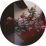 Soleil (Mattisou Remix) - Single