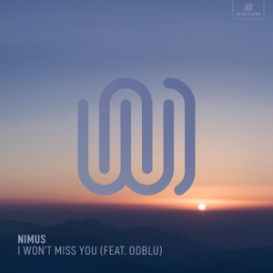 I Won't Miss You (feat. ODBLU) - Single