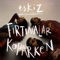 Fırtınalar Koparken (feat. Yasemin Özler) artwork