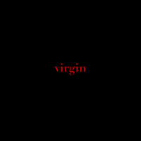 X Lovers - Virgin artwork