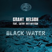 Black Water (feat. Cathy Battistessa) [Vocal Mix] artwork