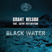 Black Water (feat. Cathy Battistessa) [Radio Edit] artwork