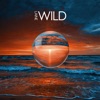 Wild - Single