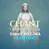 Salve Regina (1 Hour Chant of the Mystics) artwork