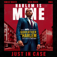 Godfather of Harlem - Just in Case (feat. Swizz Beatz, Rick Ross & DMX) artwork