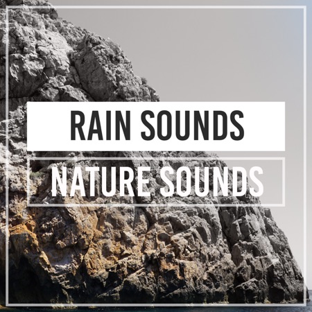 Rain Sounds & Nature Sounds