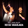 Rei da Vaquejada (Ao Vivo) [feat. Mano Walter] - Single