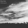 Michael Adams - A Life Long Lost