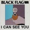I Can See You - Black Flag lyrics