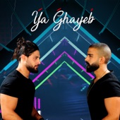 Ya Ghayeb artwork