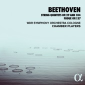 Beethoven: String Quintets Op. 29 and 104, Fugue Op. 137 artwork