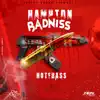 Stream & download Hamtpon Badniss - Single