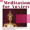 Meditation for Anxiety - Nature Sounds Ensemle, Calming Delta Waves, Soothing New Age Music album lyrics, reviews, download
