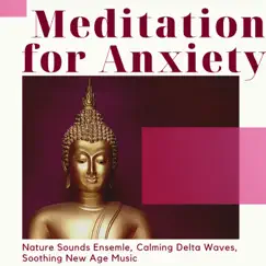 Meditation for Anxiety - Nature Sounds Ensemle, Calming Delta Waves, Soothing New Age Music by Dzen Guru album reviews, ratings, credits
