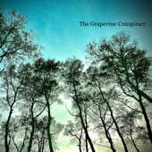 The Grapevine Conspiracy - Steal My Mind