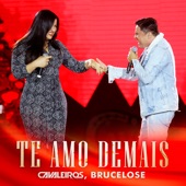 Te Amo Demais (Ao Vivo) artwork